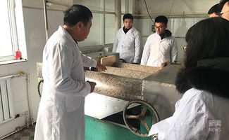 返鄉創業、貢獻家鄉 小食品生產線塑造社會責任感的實踐與思考