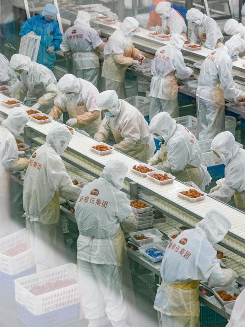 深讀丨解答 196 的安全難題 食品包裝機械的挑戰與應對